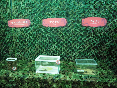 2021.11.13 佐世保 森きらら ゾッとするいきもの展PB136261