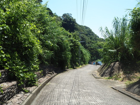 10-尻久砂里海浜公園P7284820