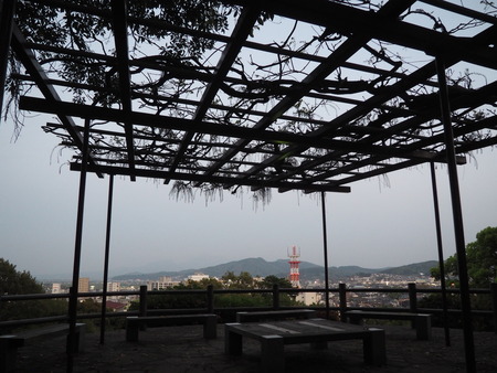 2023.04.07 諫早公園P1012919