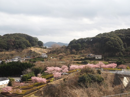 ����������β��ź�P2221440