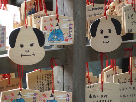 2023.02.25ĹԡP1016316