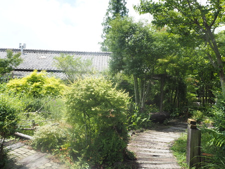 7−波佐見町西の原 HANAわくすいP7241847