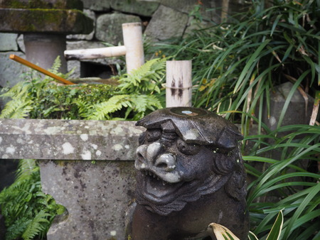 27-Ĺºê»Ô¡¡¿Ûˬ¿À¼Ò¡¡ÉȻҼÒP1030262