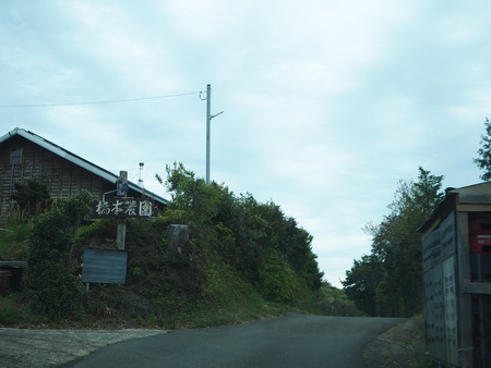 9-諫早市福田町 梅蓮P4190505