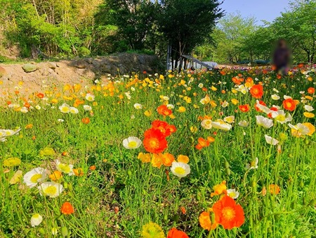 2022.04.19_1650374042(1)