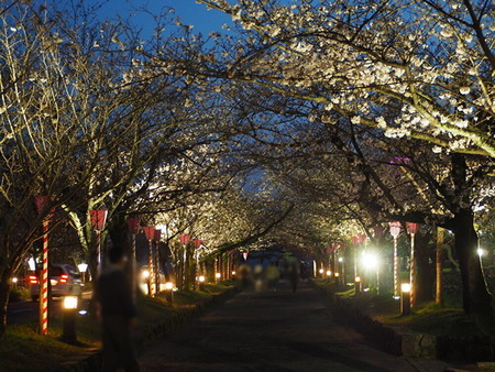 大村公園_1679831898