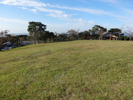 si-5DSC01880