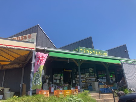 2024.05.10 奥雲仙 田代原IMG_5223