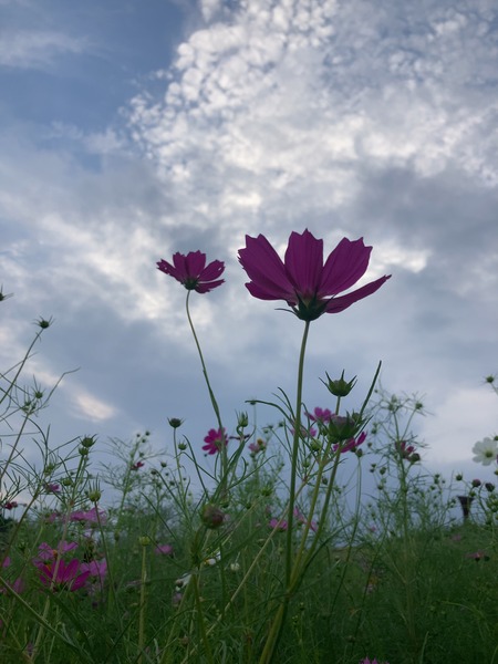 2023.09.30������ԡ��������⸶IMG_9938