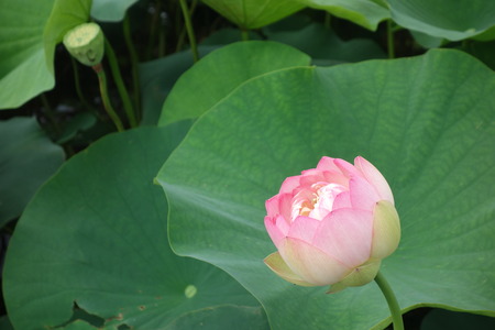 13�����������ϥ���DSC08836