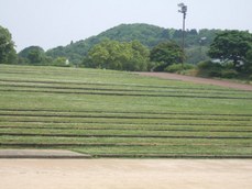 j-29
