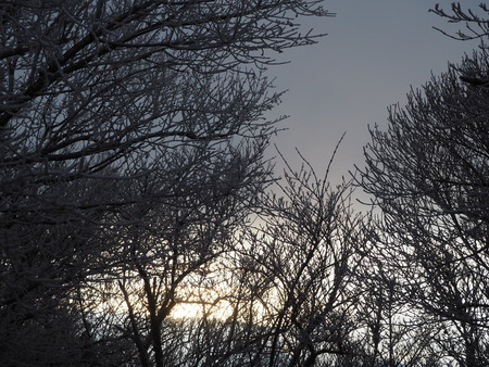 2022.12.03 ±ÀÀç¿ÎÅÄÆ½¡¢Ì¯¸«³Ù¡¡Ì¸É¹P1011797