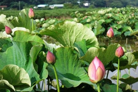 7-��������ϡ��DSC08305