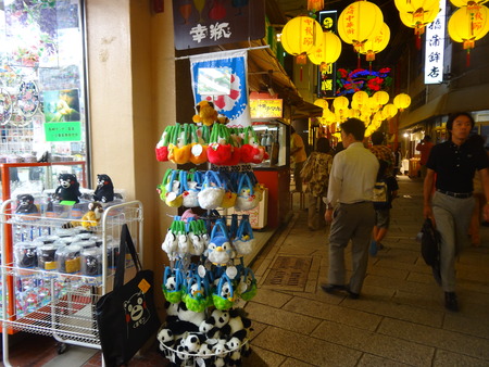 9-DSC07737