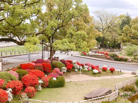 2022.04.13 �������IMG_4835