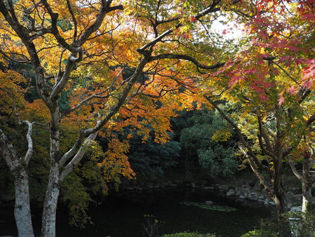 2021.11.21������ԡ��������PB187514