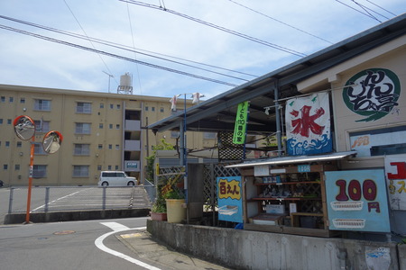 2-����������DSC00208