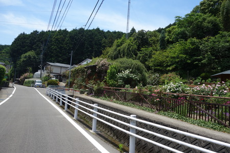 ��������Х��DSC00212