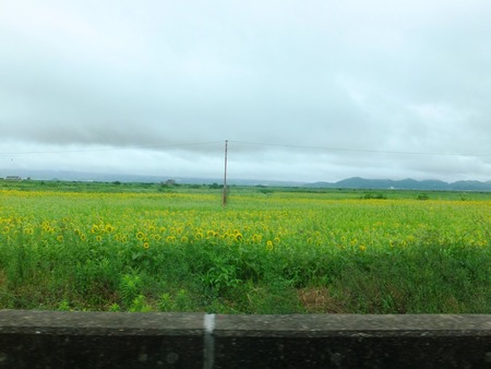 ta-1DSCF6224
