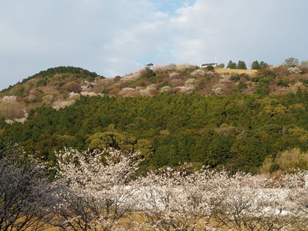 2023.03.26 大村市 琴平スカイパークP1010280