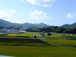a-4DSCF4959