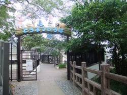 �ӣ��ģӣãƣ�������������