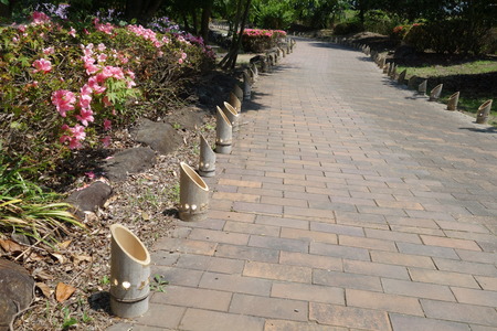 9-皿山公園DSC07467