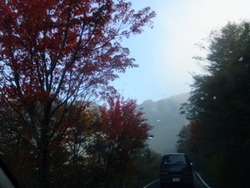 u-2DSCF6388
