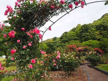 2024.05.11 諫早総合運動公園P5112898