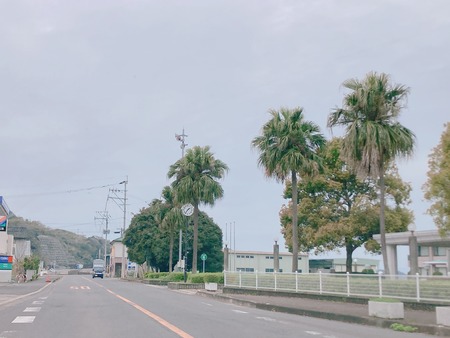 2022.06.07 雲仙しおかぜ黒糖IMG_2435