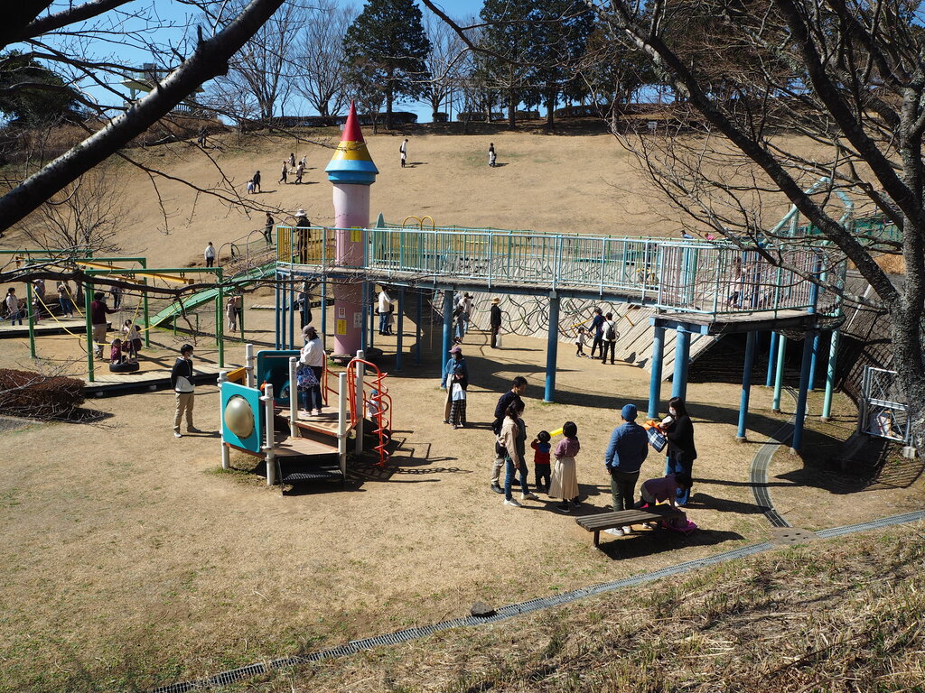 絶景と桜の並木道 大人と子供の遊び場 琴平スカイパーク 大村市原町 長崎 諫早市民 ふくちゃんの食う 寝る 遊ぶ日記