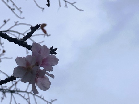 2023.09.30������ԡ��������⸶IMG_9994