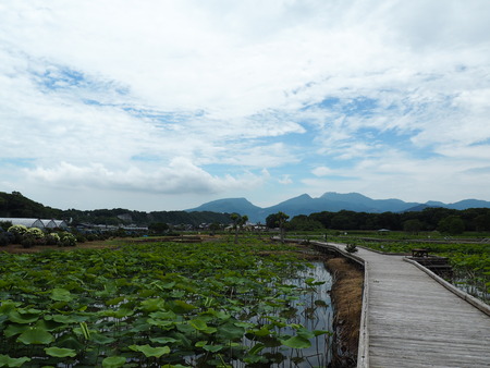 2022.05.31 ����Կ���Į������ϥ���P5291055