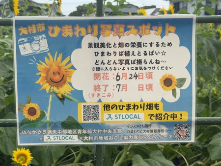 ¥¾¾Åº¤µ¤ó¤Î¤Ò¤Þ¤ï¤êȪIMG_5812