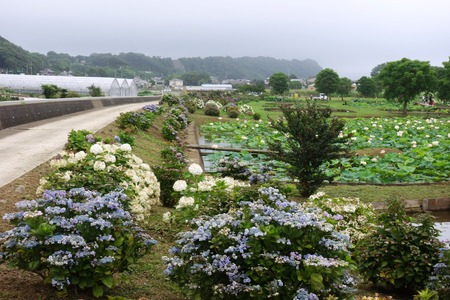 3-���������ϥ���DSC09852