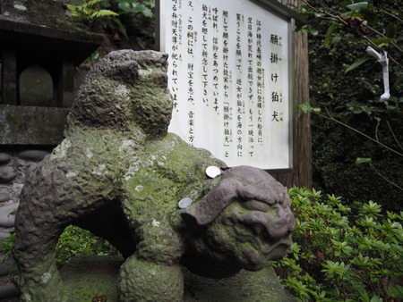 24-Ĺºê»Ô¡¡´ê³Ý¤±¹ý¸¤P1030244