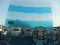 7-9DSCF4096