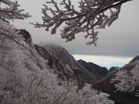 2022.12.03 ±ÀÀç¿ÎÅÄÆ½¡¢Ì¯¸«³Ù¡¡Ì¸É¹P1011779