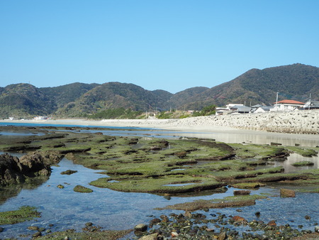 13-長崎市野母崎 脇岬海水浴場 ビーチロックP1100172