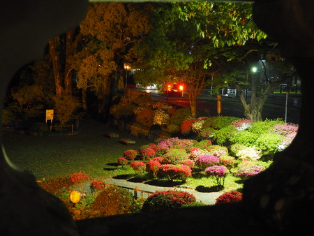 2023.04.07 諫早公園P1012996