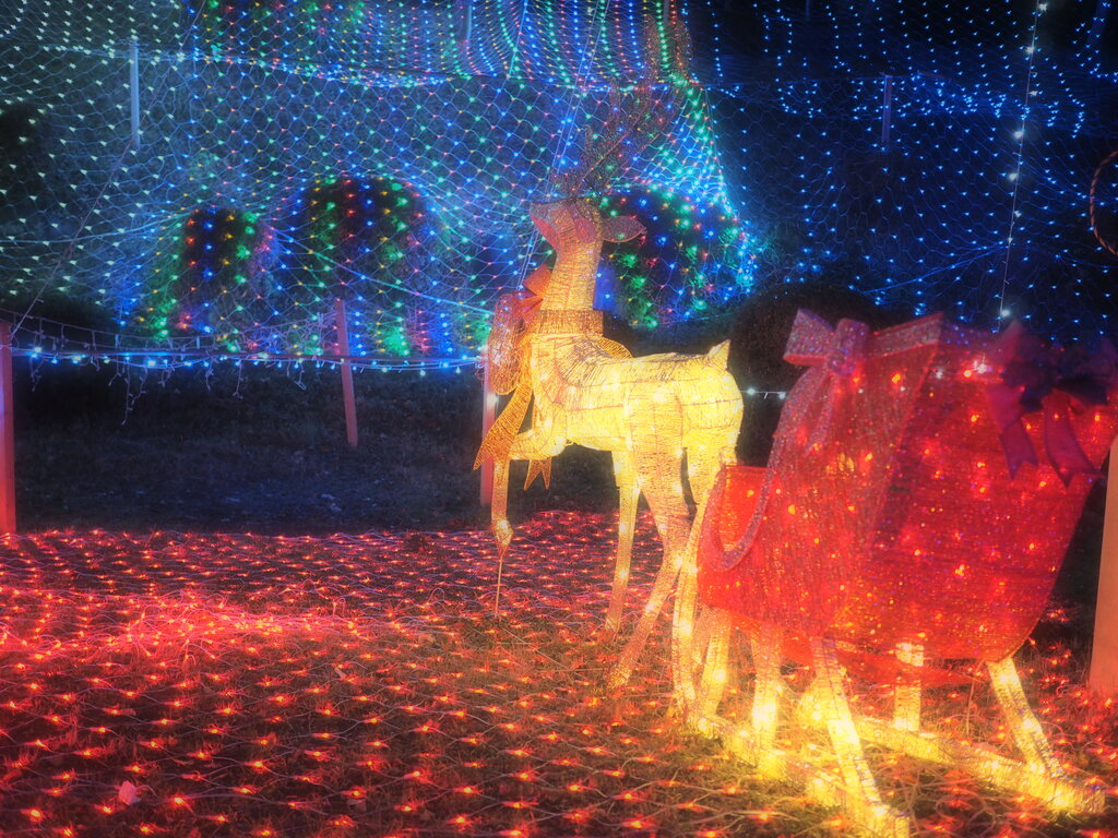 ハートウォーミングな光に包まれた「小江公園のクリスマス