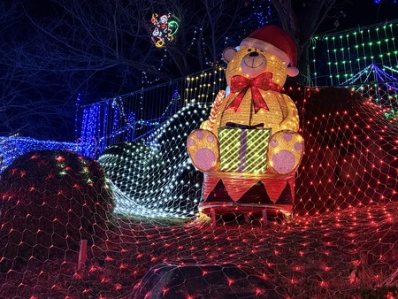 ����Į��������Υ��ꥹ�ޥ�����ߥ͡������IMG_8462