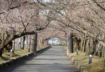 dscn3079c