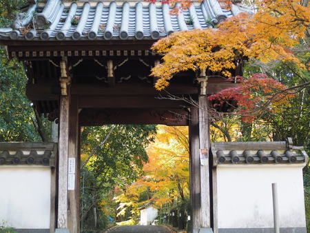 2025.11.28������ԡ�ŷʹ��PB281485