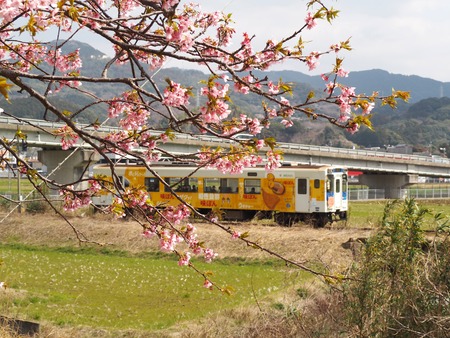 º´¡¹Ä®¡¡²ÏÄźùPP3071511