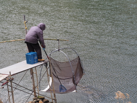 º´¡¹Ä®¡¡²ÏÄźù¤È¥·¥í¥¦¥ªµùP3071457