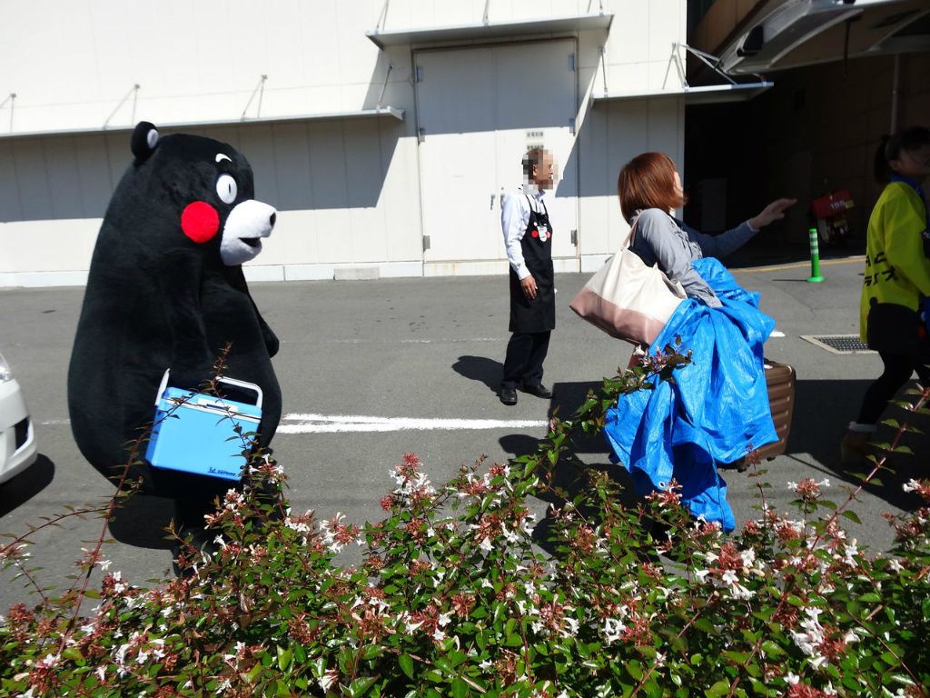 長崎駅前かもめ広場 De くまモン サプライズ 長崎 諫早市民 ふくちゃんの食う 寝る 遊ぶ日記 長崎駅前かもめ広場 De くまモン サプライズ 長崎 諫早市民 ふくちゃんの食う 寝る 遊ぶ日記