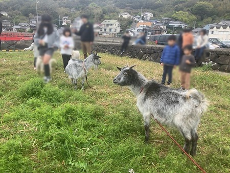 7157-VEfeb7THgzkckyv1714202870_1714202938