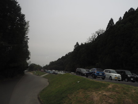 7-佐賀県みやき町 山田 ひまわり園033662