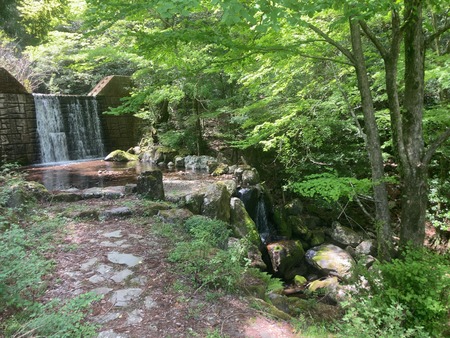 2025.07.19�����ὤ¿��ο�IMG_1514